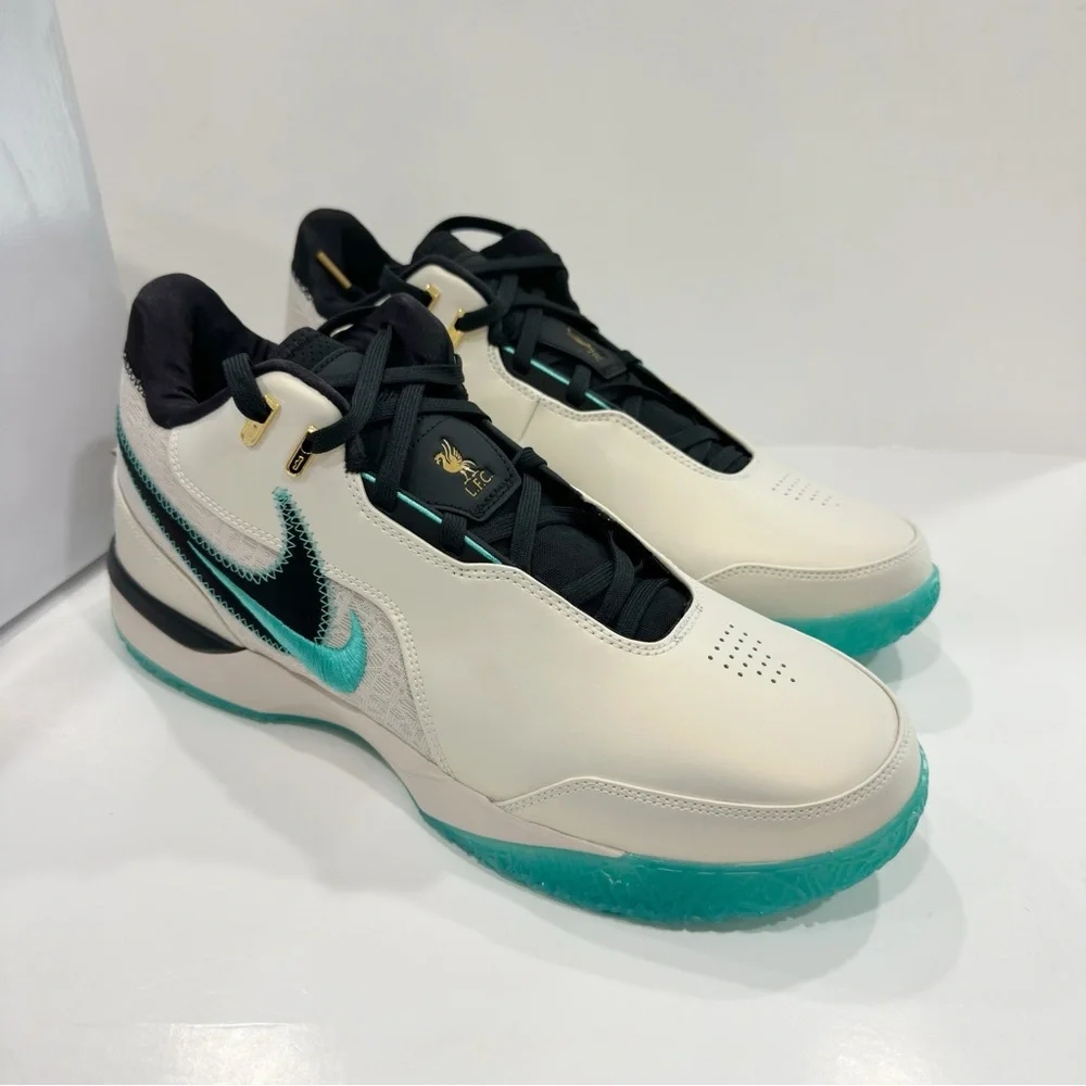 Nike Zoom LeBron NXXT Gen AMPD Orewood Men’s Basketball Shoes